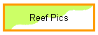 Reef Pics