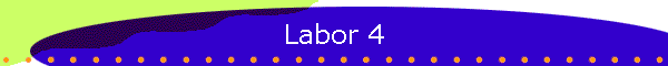 Labor 4